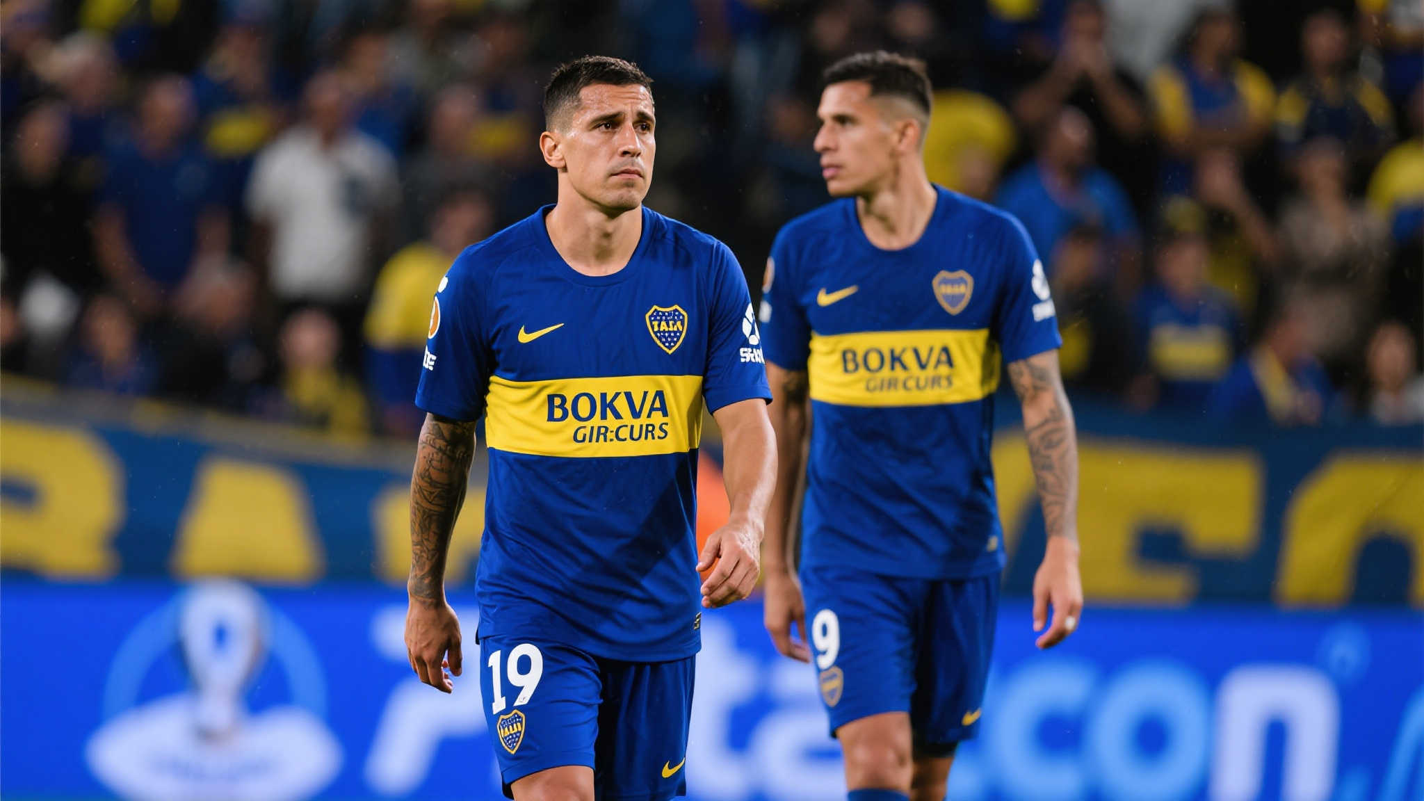 MK体育平台网页版入口